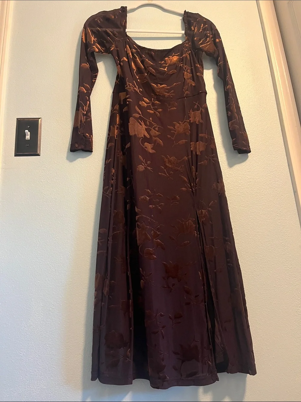 Baltic Born Brown Floral Burnout Velvet Long-Sleeve Maxi Dress